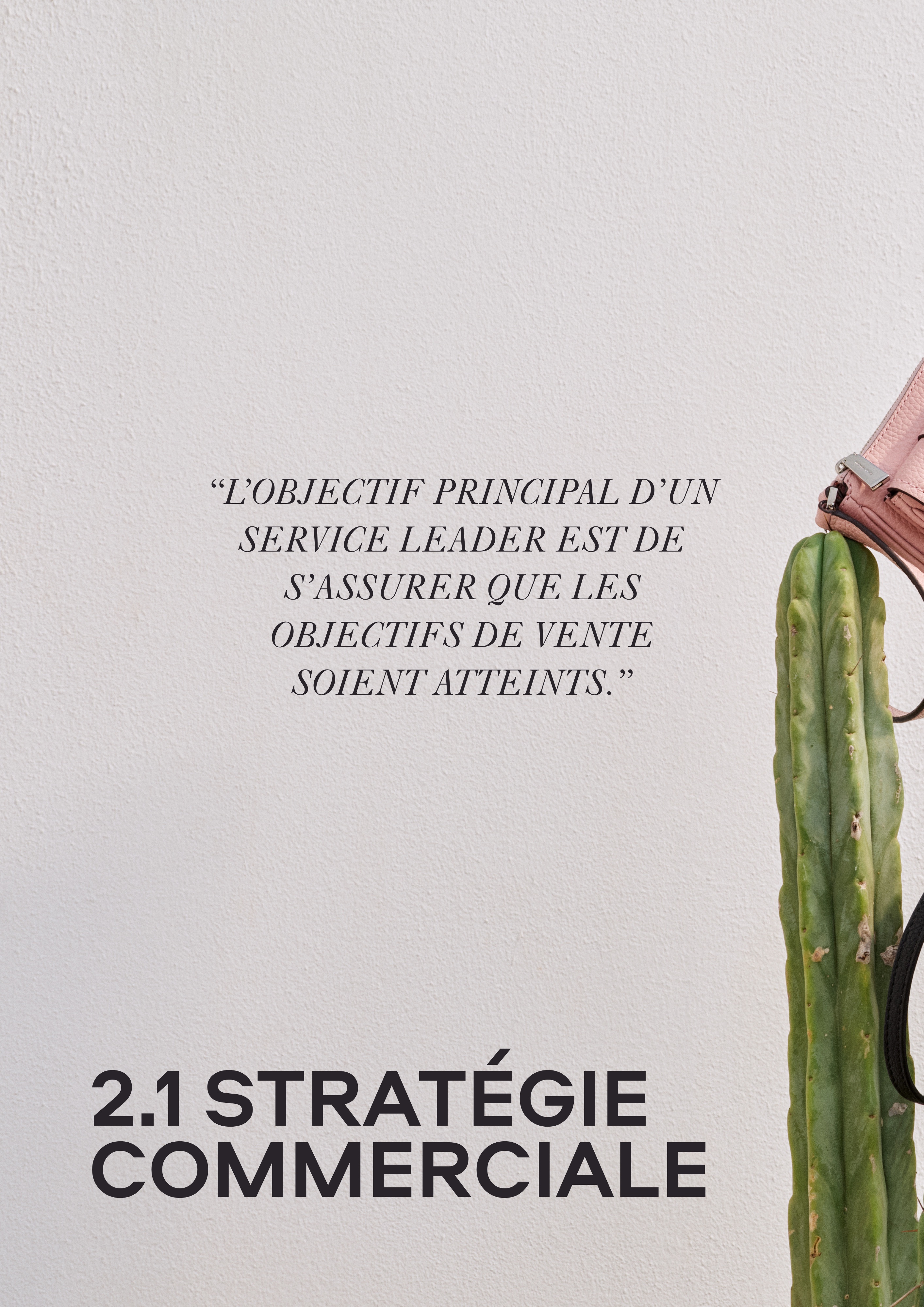 Page Service Leader introduisant l'objectif principal d'une stratégie commerciale
